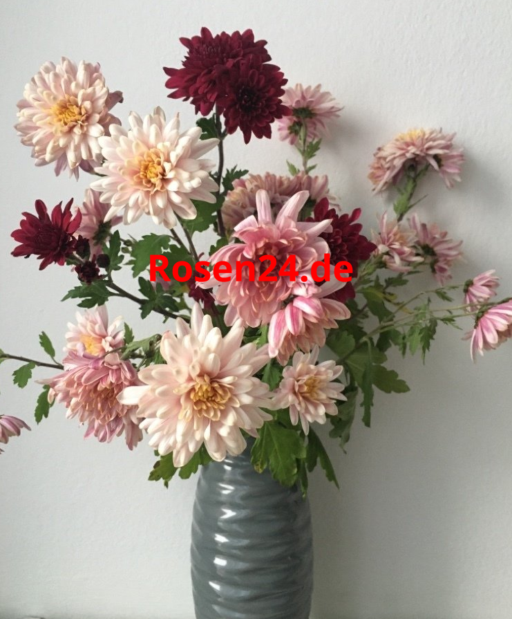 Genesungsstrauß Genesungsstrauss