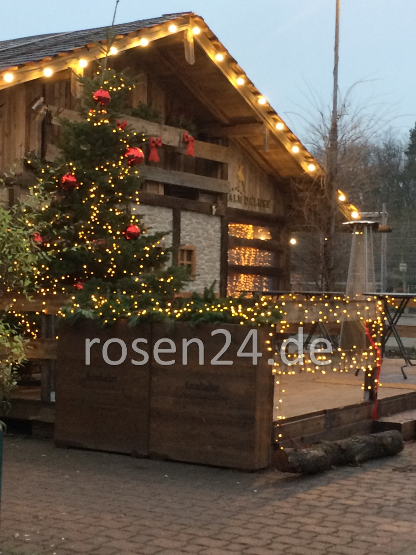 Erlebnisse zu Weihnachten Weihnachtsreisen Erlebnisse