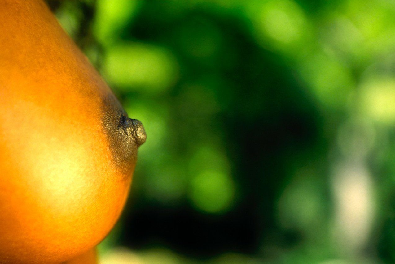 Thierry Aguiar : photo de profil en extérieur dans une forêt du sein de Jessyca, jeune fille noire d’origine congolaise.