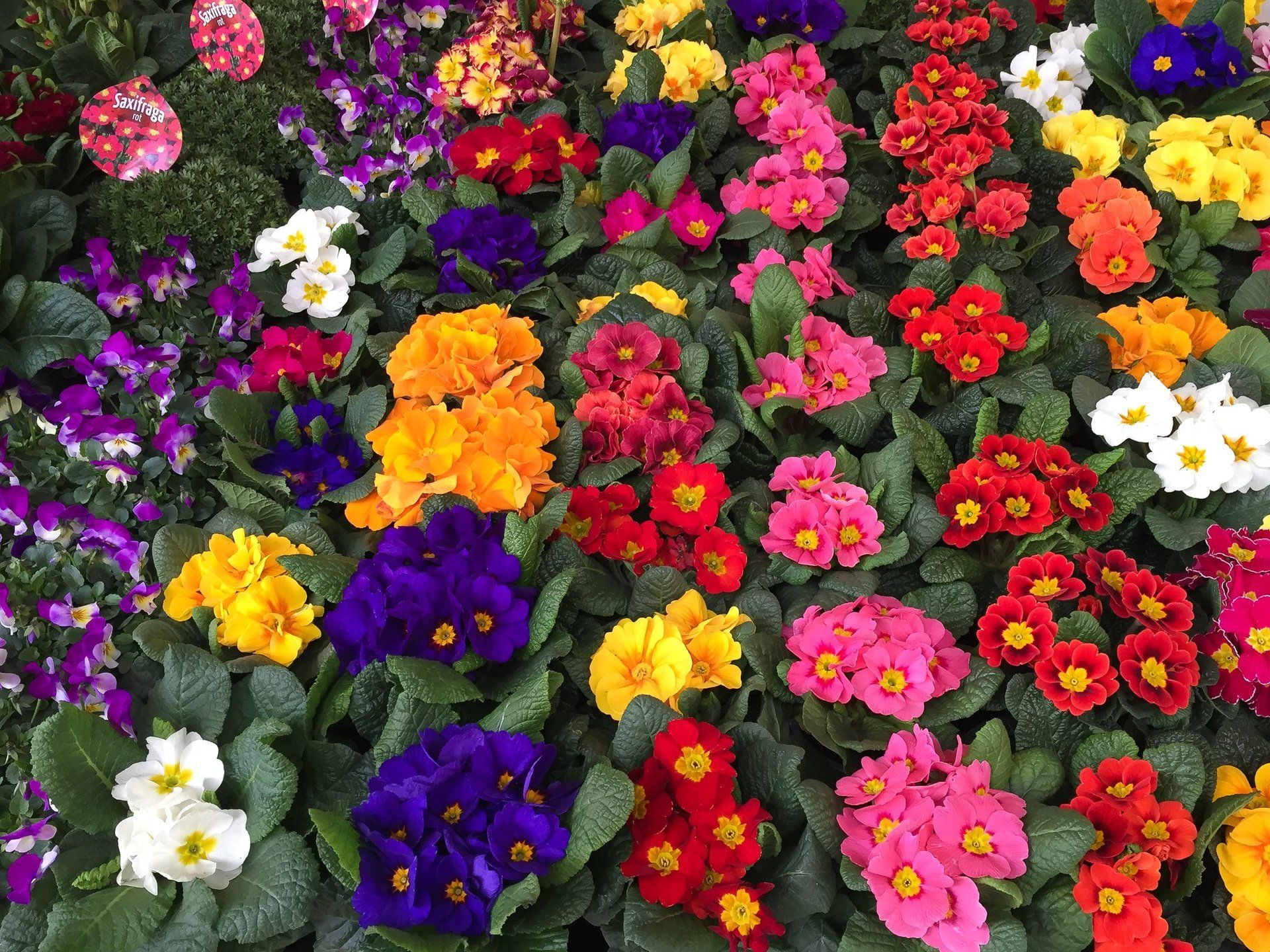 Floristik und Accessoires