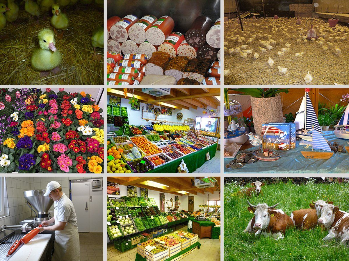 Erfahren Sie mehr über unsere Hof und unsere Produkte...