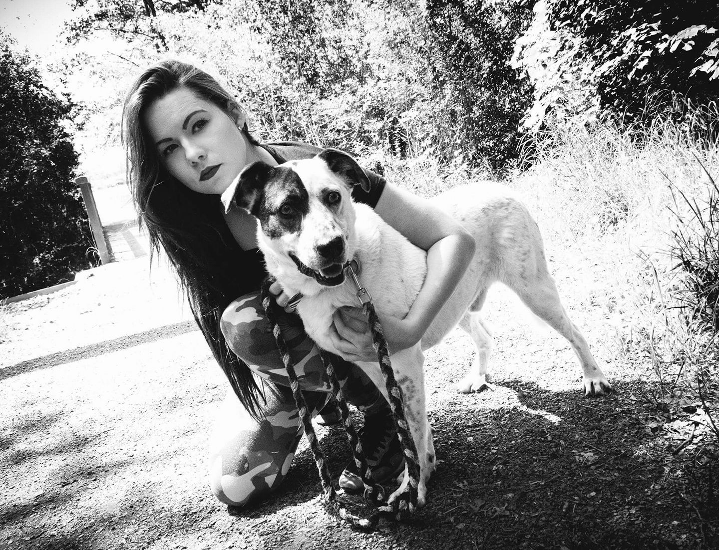 Hundebetreuung Darmstadt, Hundeschule Darmstadt, Hundetraining schwierige Hunde