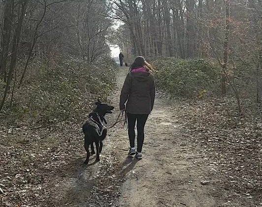 Hundezentrum Darmstadt, Leinenführigkeit Darmstadt,  Orientierung am Menschen