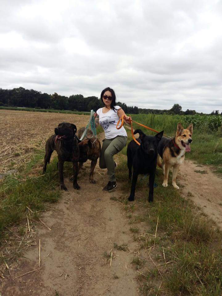 Hundeschule, Hundetraining, Hundebetreuung