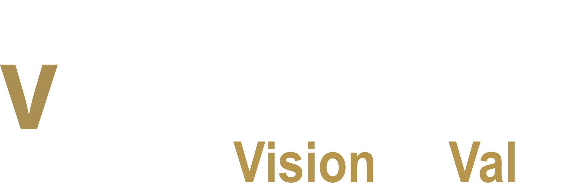 VisionVal VisionVal