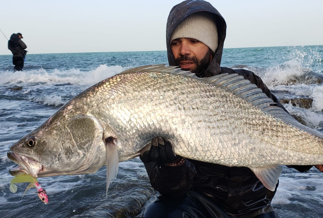 pesca desde orilla, sorprendente destino
