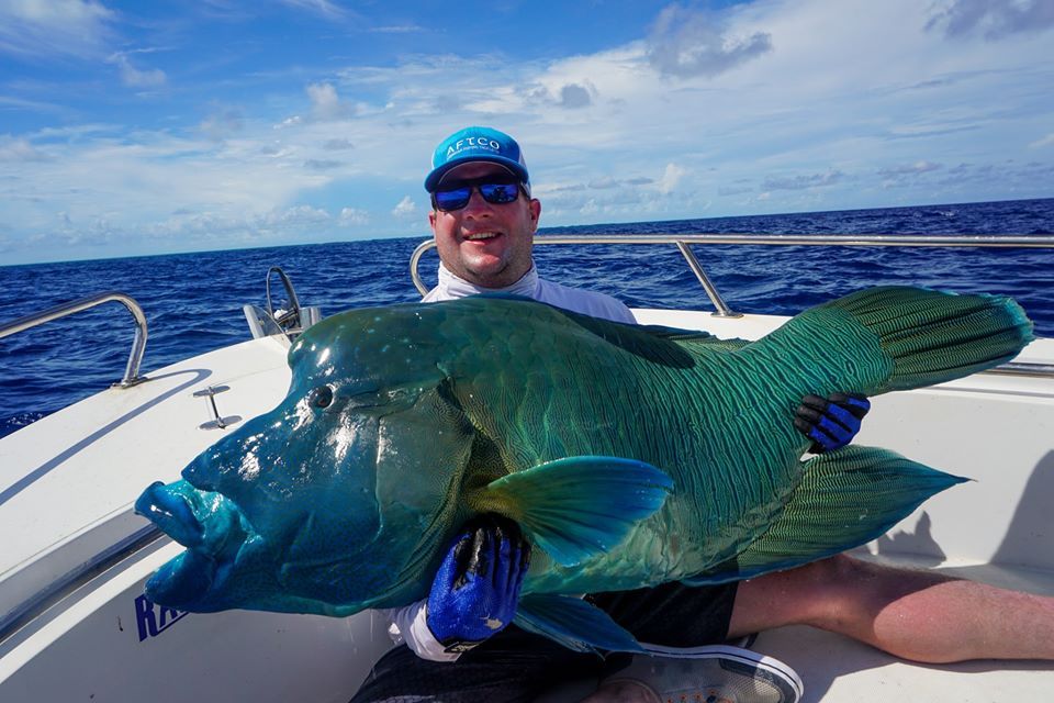 Napoleón jigging