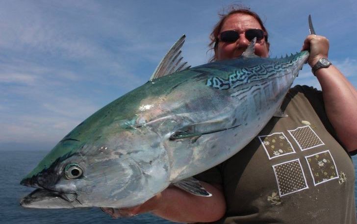 pesca desde orilla, sorprendente destino