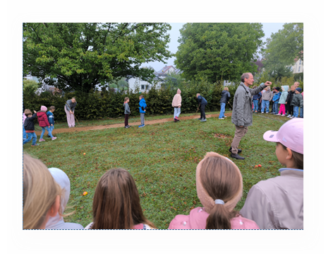 Grundschule Grundschule