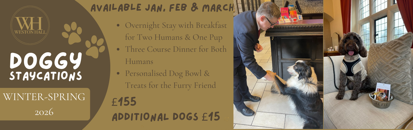 Doggy Staycations UK