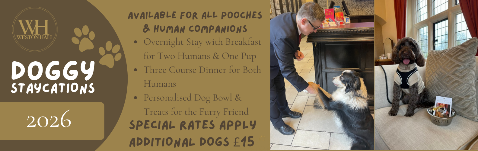 Doggy Staycations UK