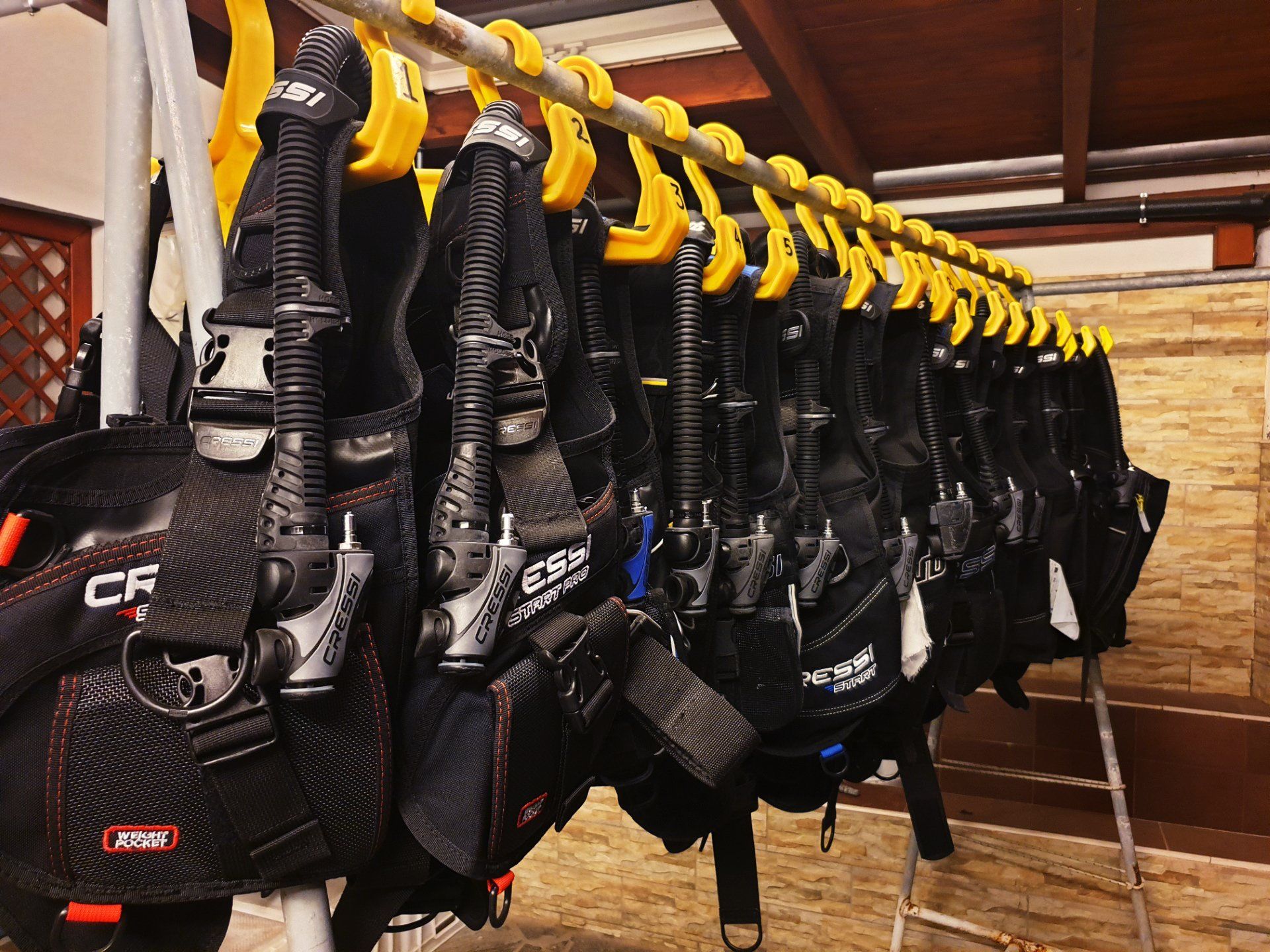 cursos de buceo en fuerteventura, diving courses in fuerteventura, tauchkurs auf fuerteventura, curs de plongée en fuerteventura