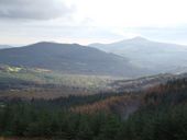 Jonathan Billinger / The forests of Glencree CC BY-SA 2.0