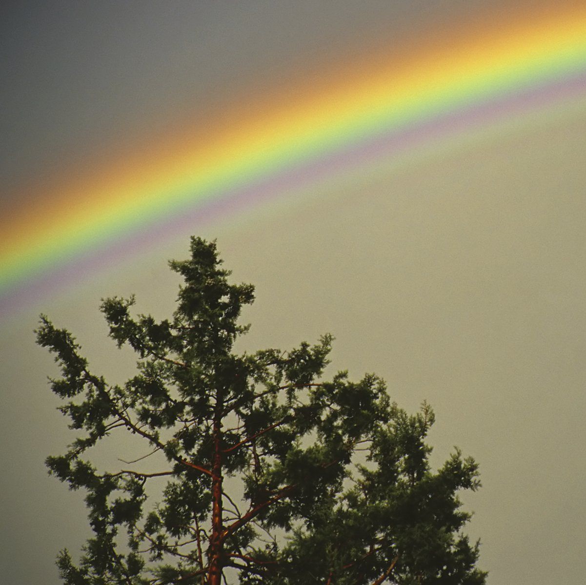 Harmonie für die Seele