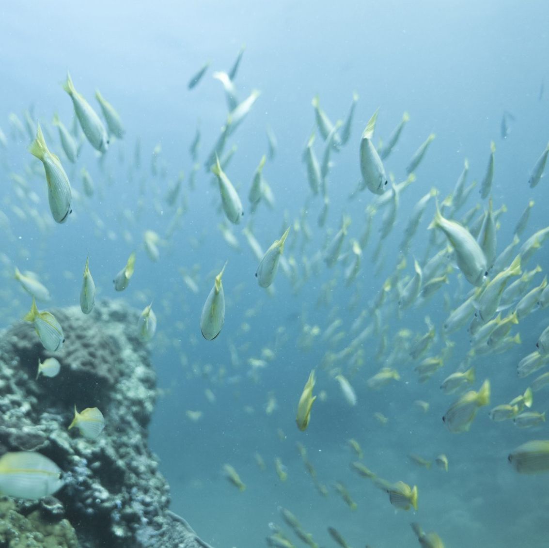 Eintauchen in die Klangwelt