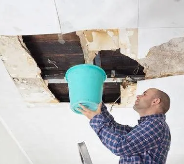 fuite de toit Fontainebleau 77186