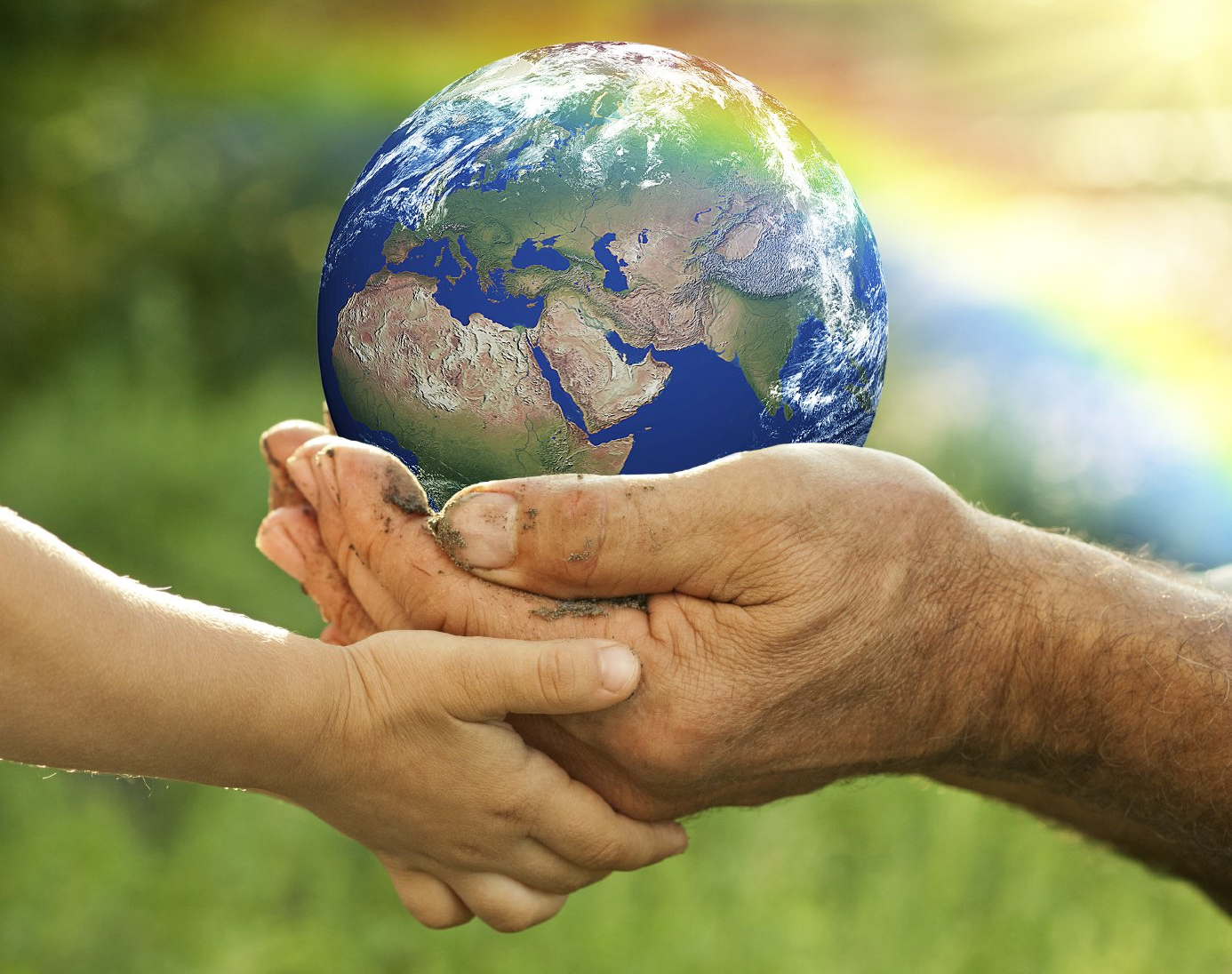 Bio Catering Schulverpflegung Kitaverpflegung Essen Mittagessen für Schulen Kitas