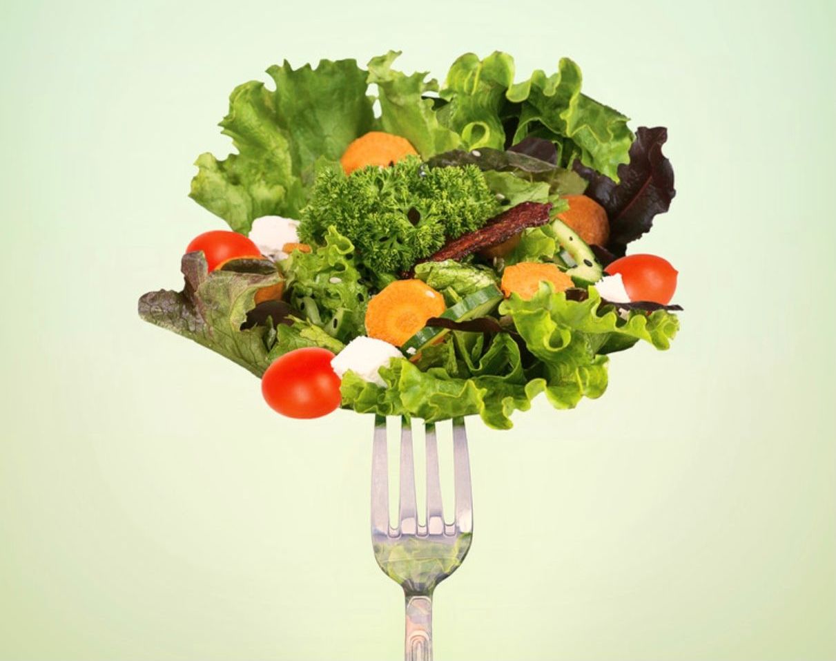 Bio Catering Schulverpflegung Kitaverpflegung Essen Mittagessen für Schulen Kitas