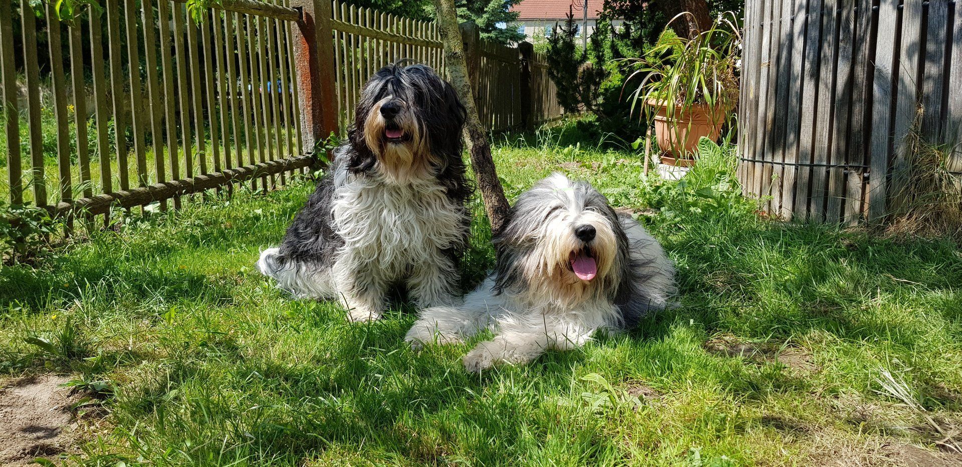 Die zwei glücklichen, nach der gelungenen Liebesnacht. Ronja und Georg
