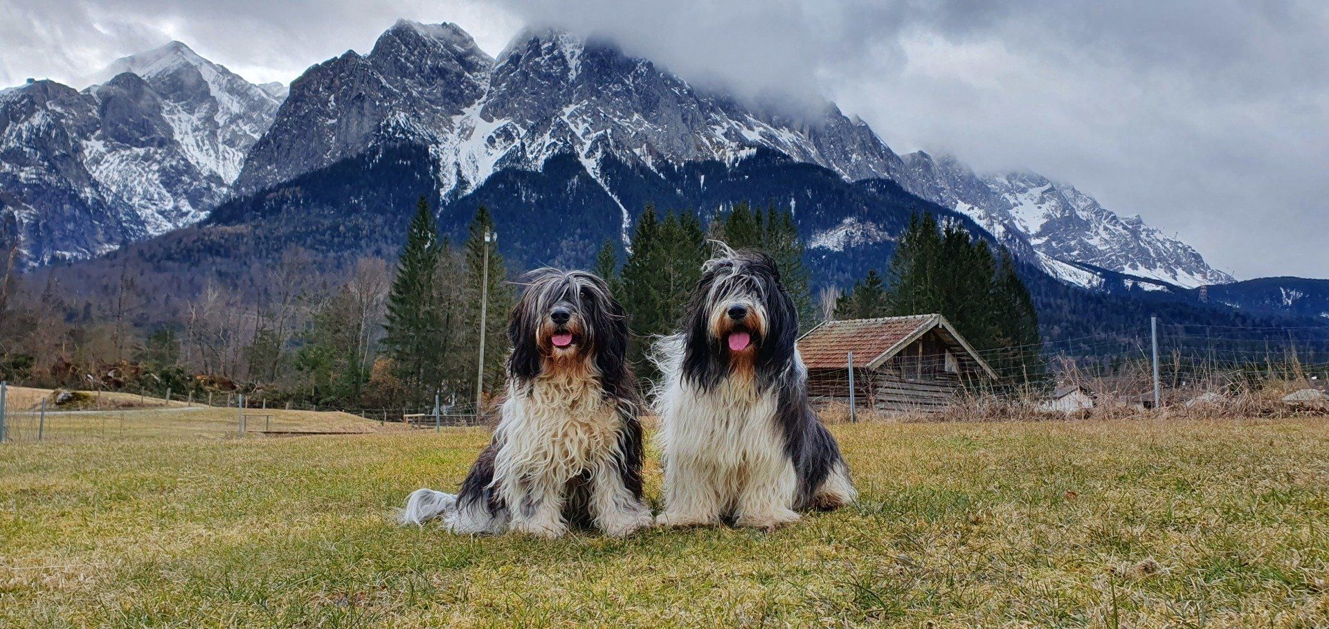 Die zwei glücklichen, nach der gelungenen Liebesnacht. Ronja und Georg