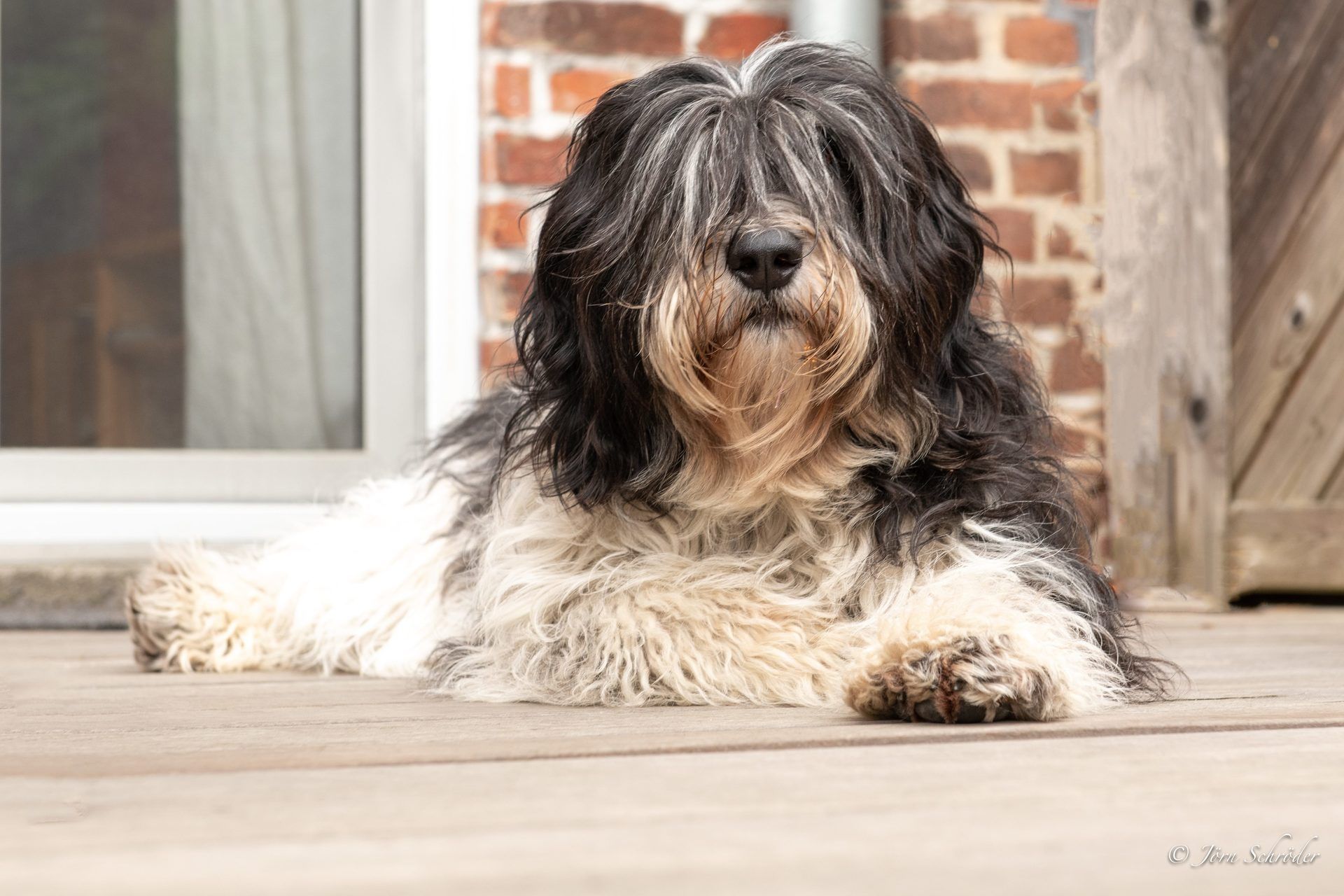 Bild: Jörn Schröder Bild: Jörn Schröder