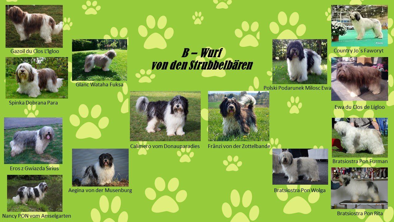 Hintergrund: wallpapertag.com