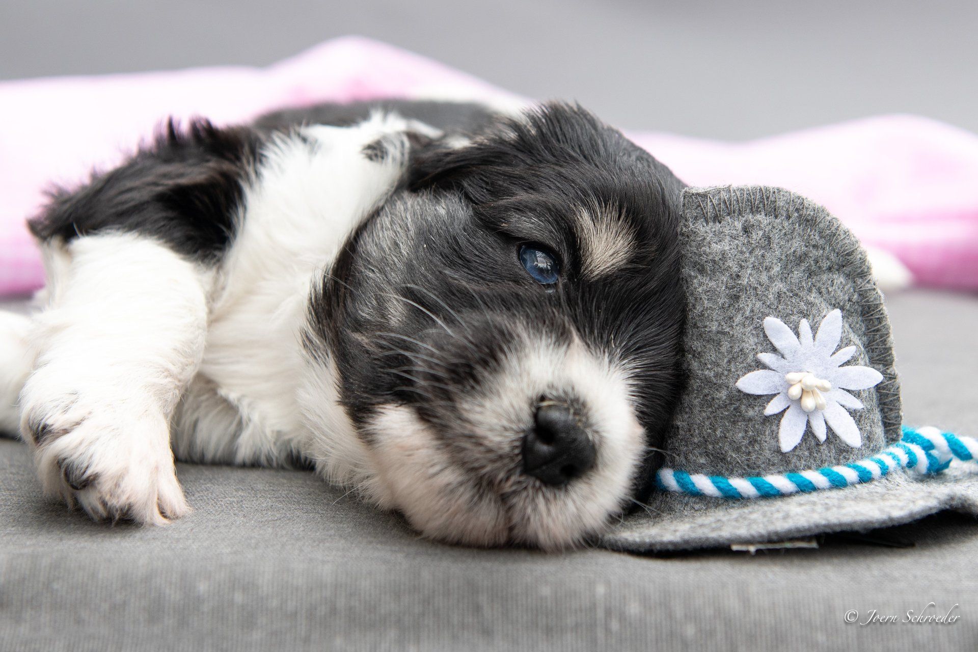 Bild: Jörn Schröder