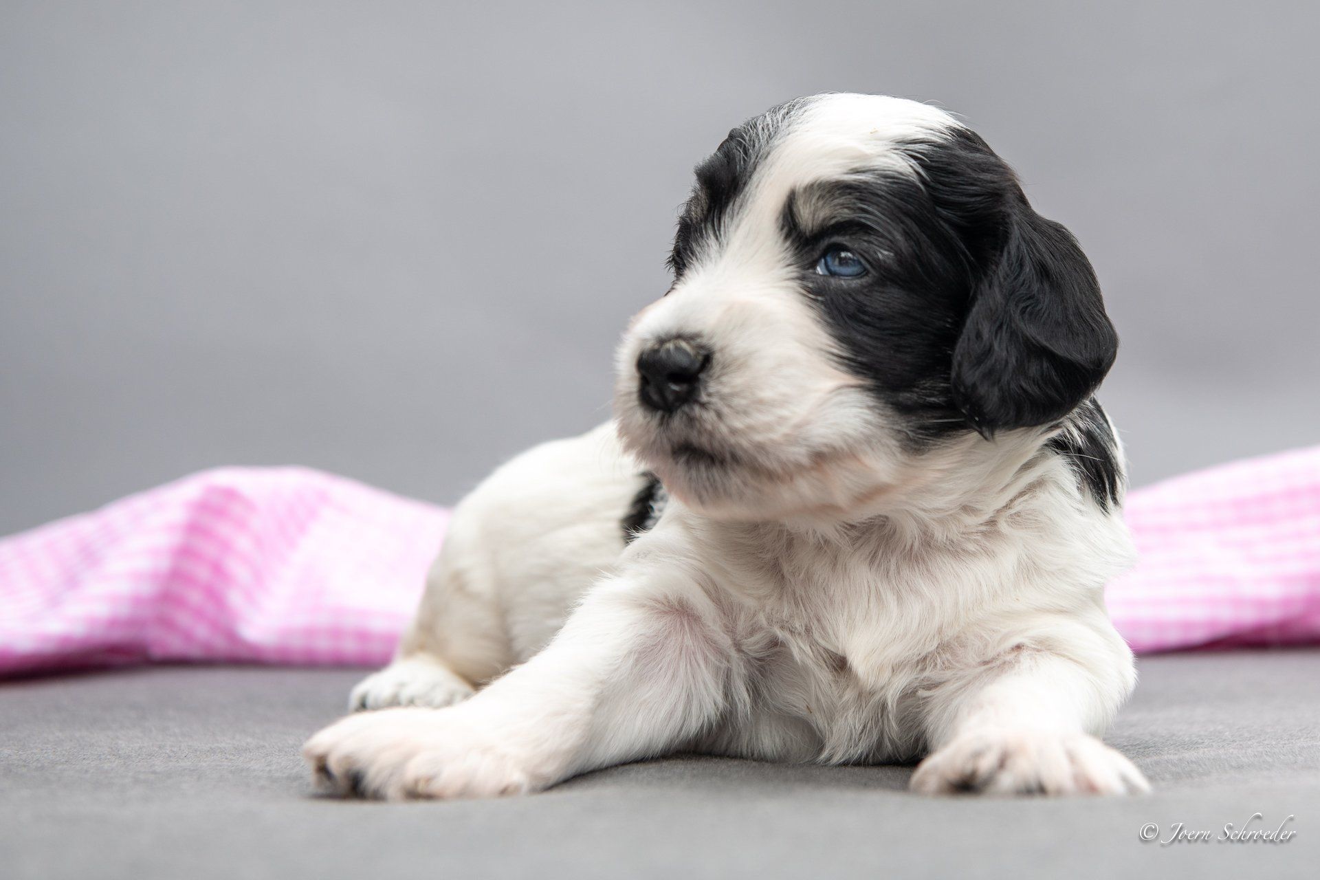 Bild: Jörn Schröder