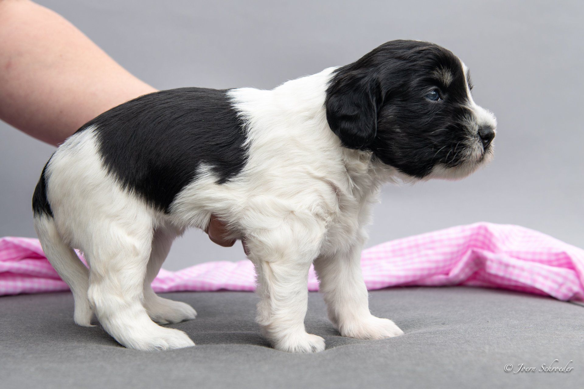 Bild: Jörn Schröder