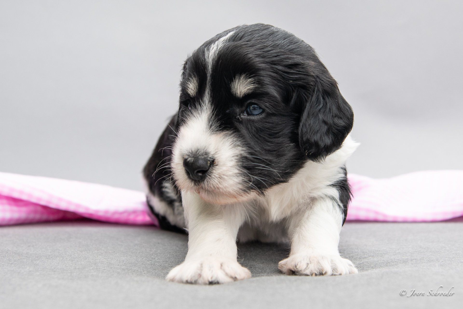 Bild: Jörn Schröder