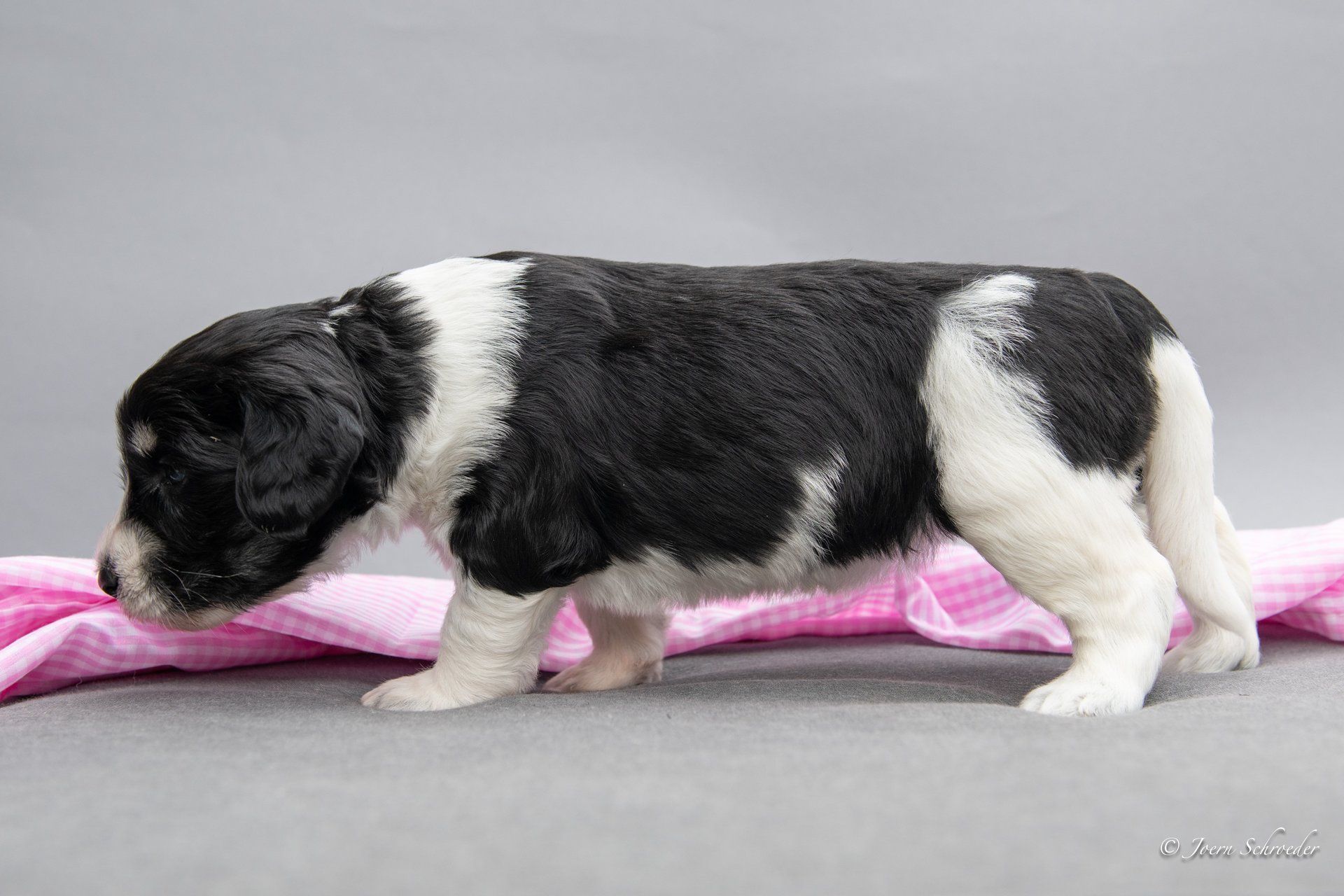 Bild: Jörn Schröder