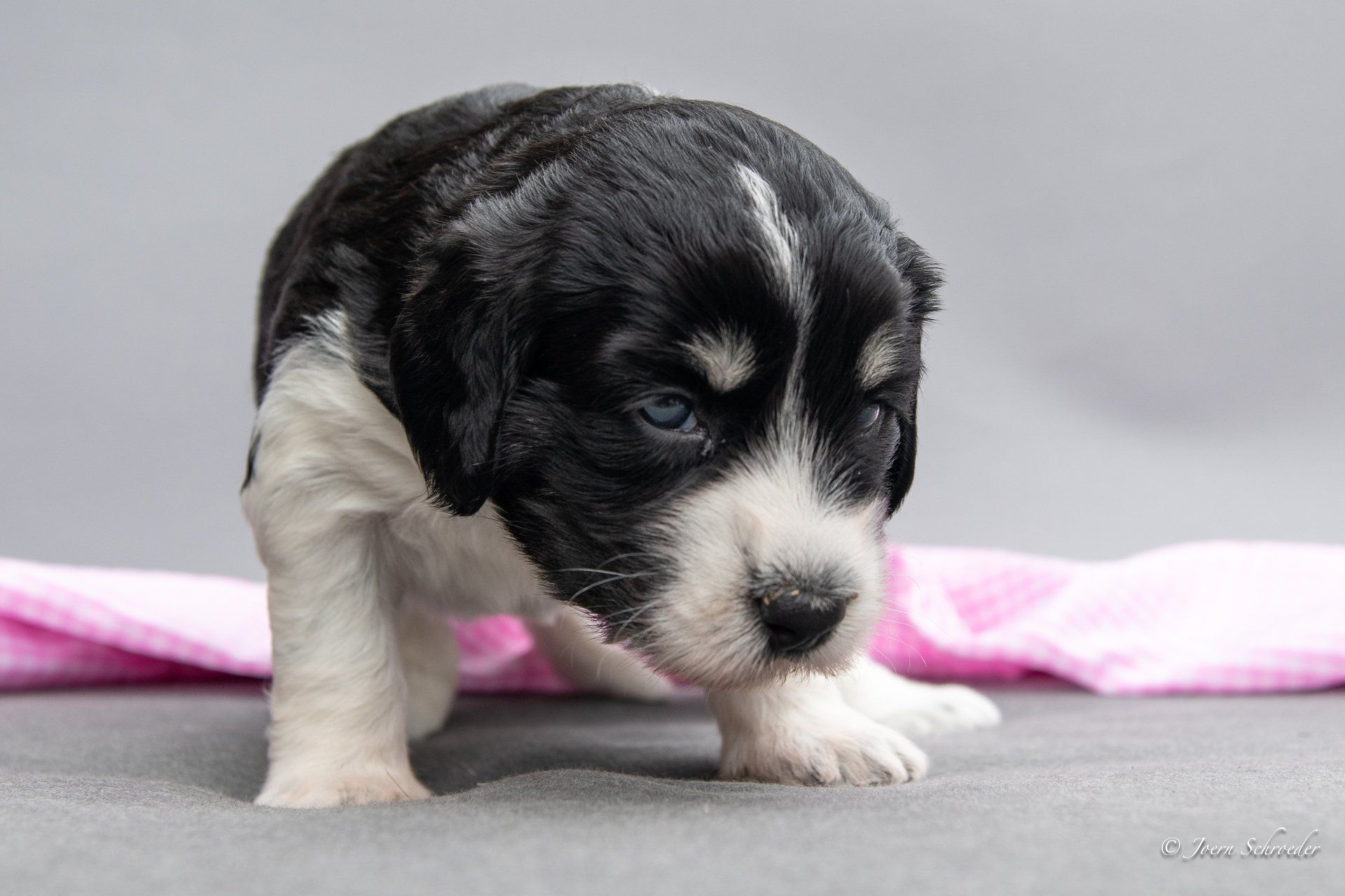 Bild: Jörn Schröder