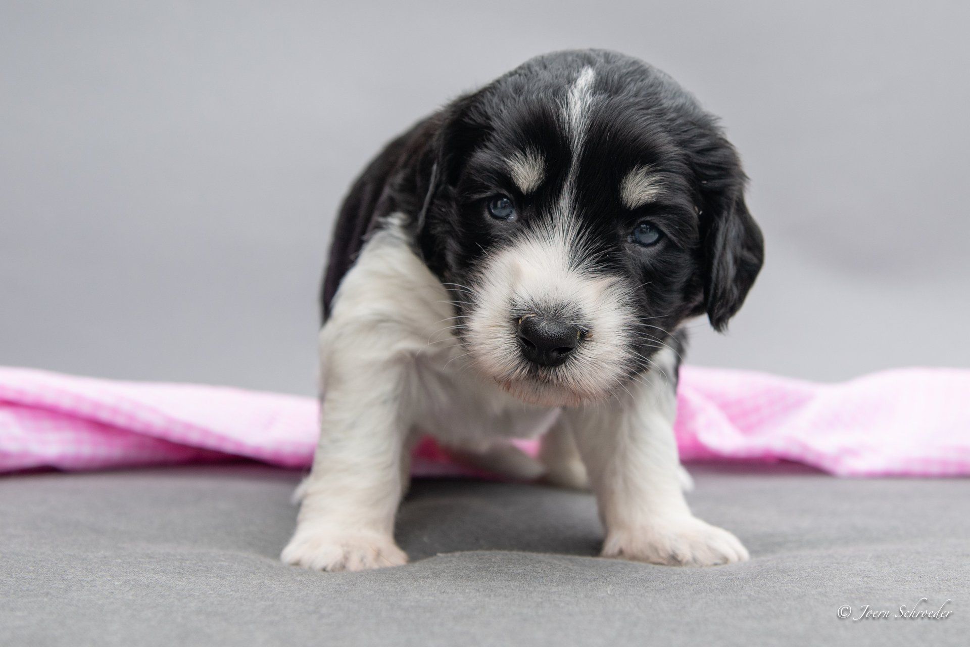 Bild: Jörn Schröder