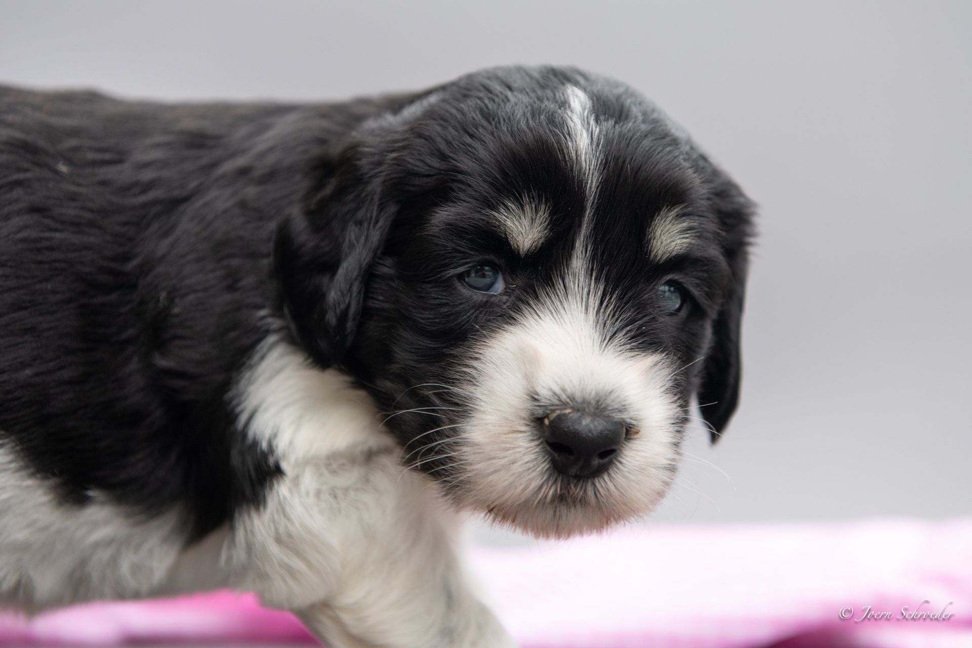 Bild: Jörn Schröder