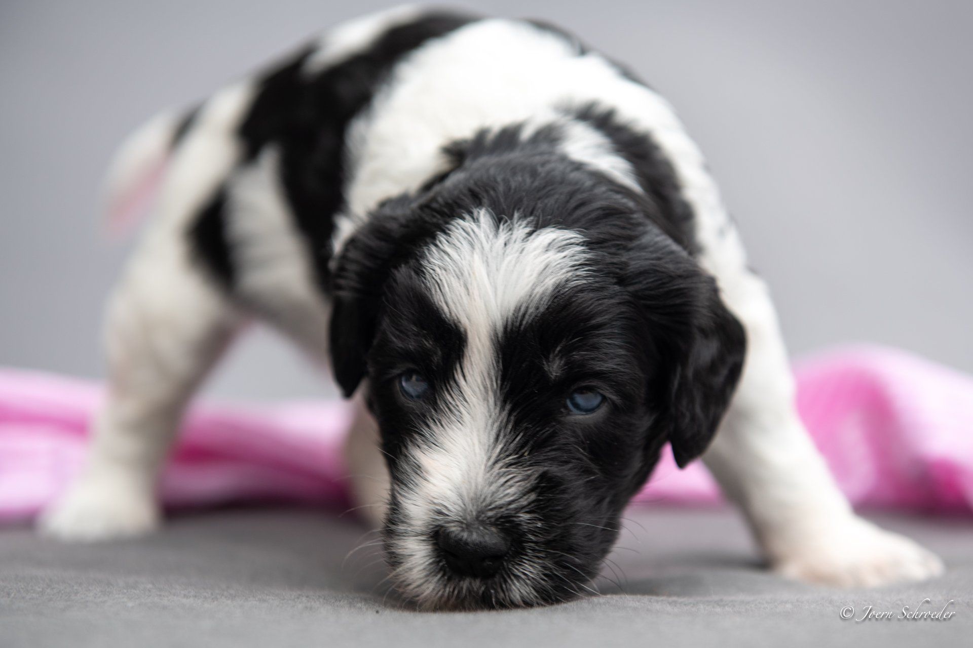 Bild: Jörn Schröder