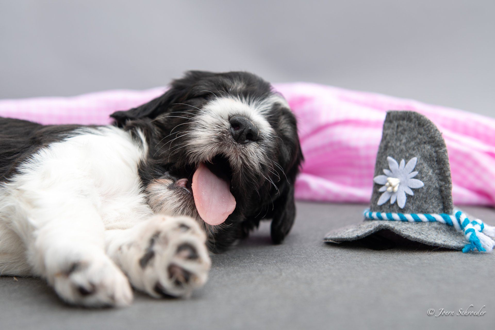 Bild: Jörn Schröder