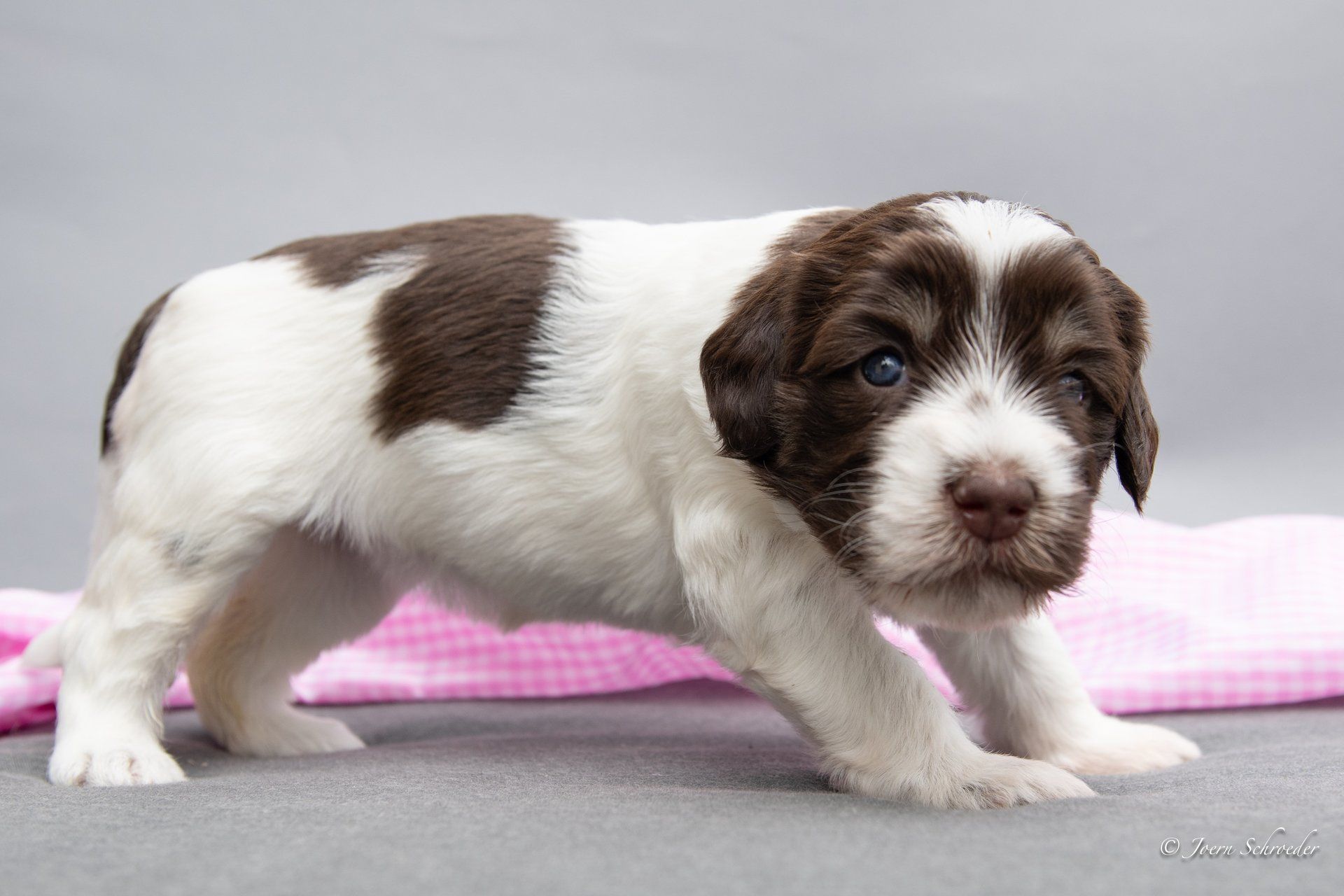 Bild: Jörn Schröder