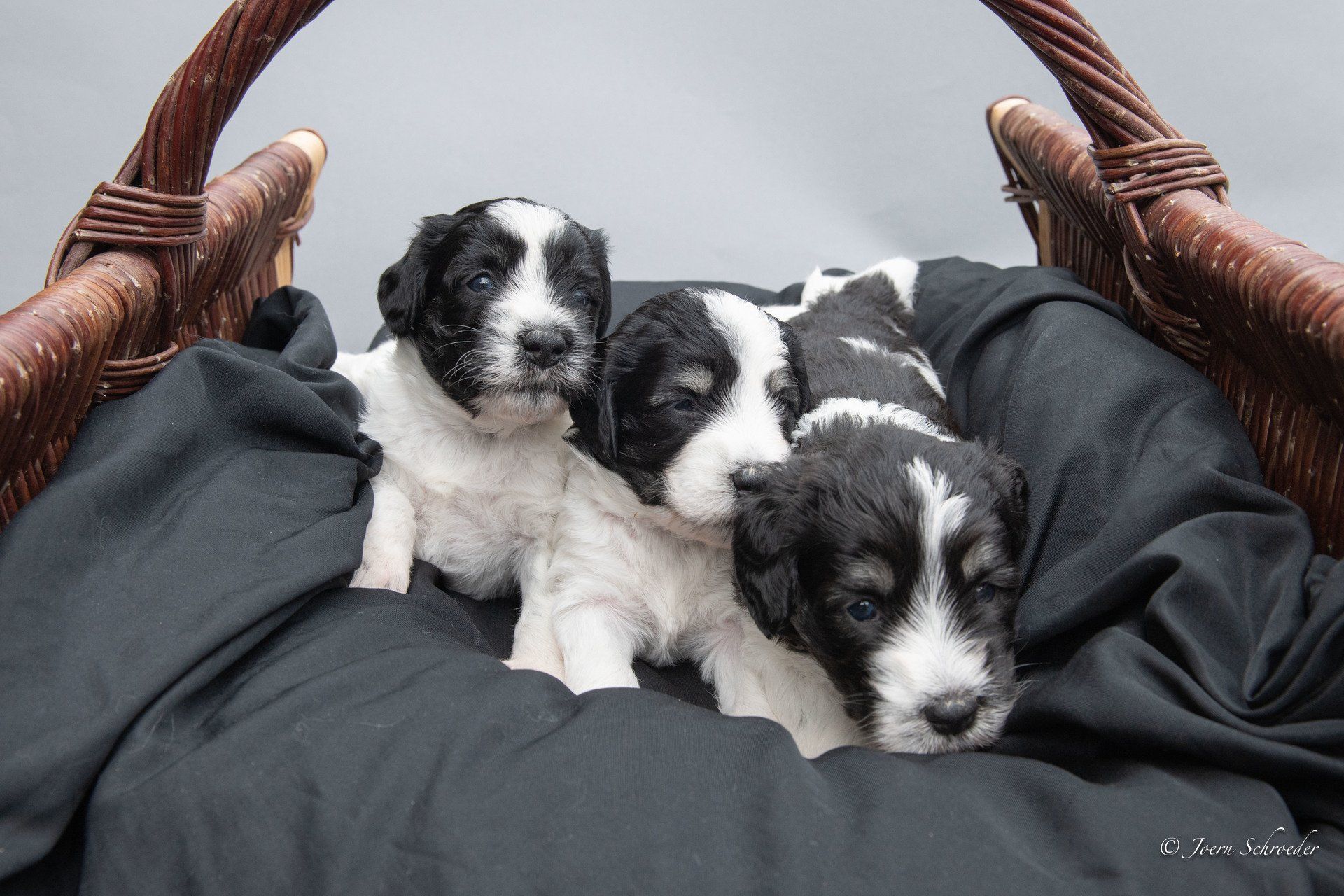 Bild: Jörn Schröder