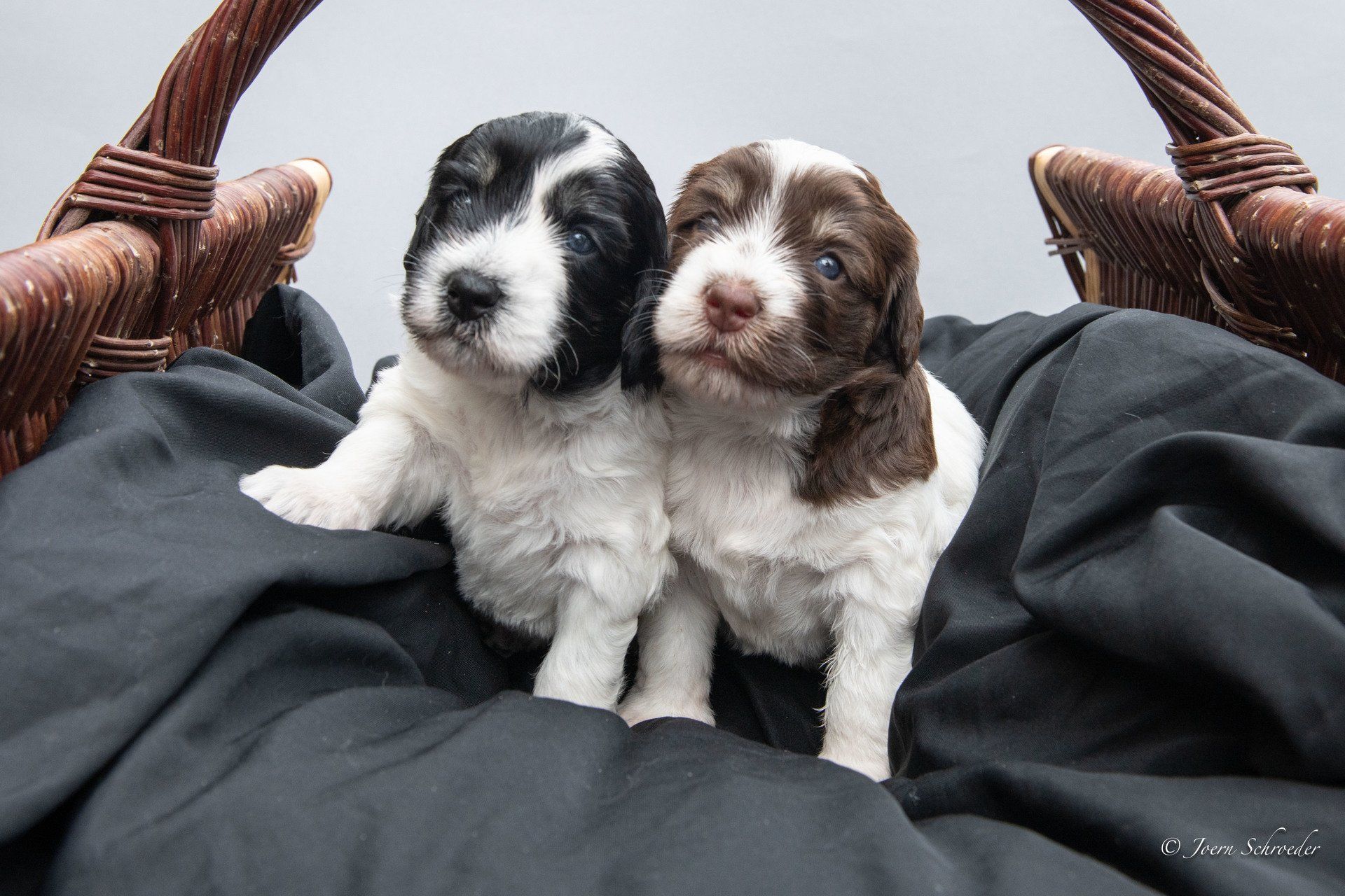 Bild: Jörn Schröder