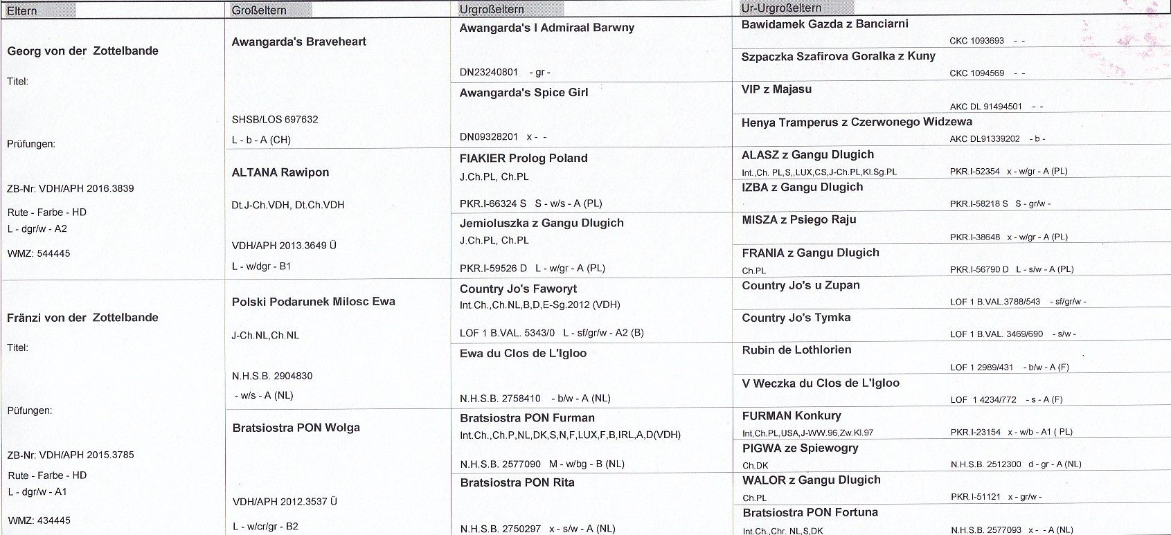 Ahnentafel Ahnentafel