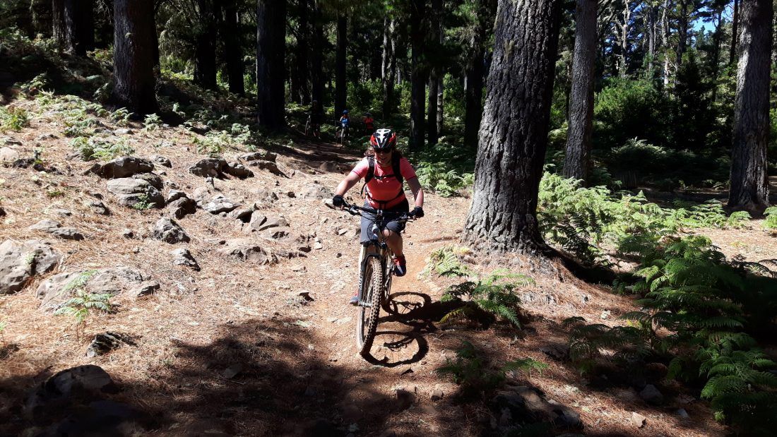 MTB Techniktraining Madeira level 2
