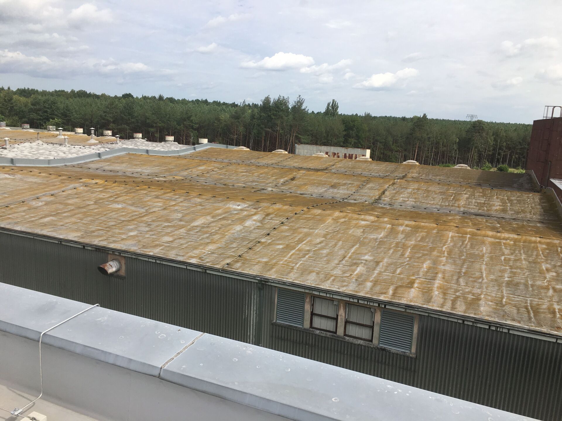 Altschaumdachsanierung mit Flüssigkunststoff und Vlies UV Schutz