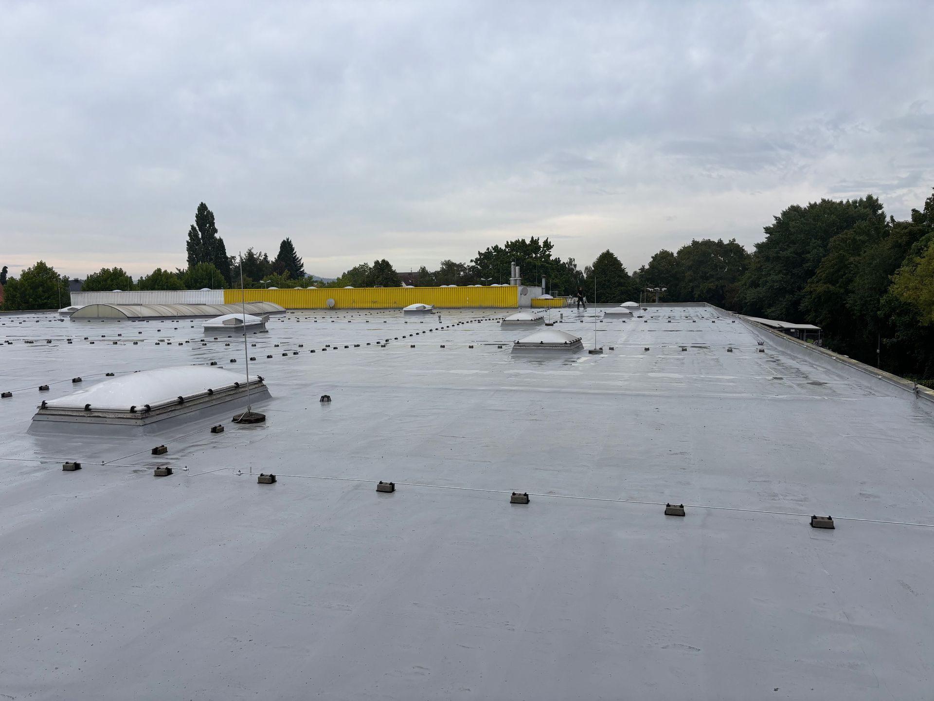 Flachdachsanierung mit Flüssigkunststoff und Vlies auf Bitumendach