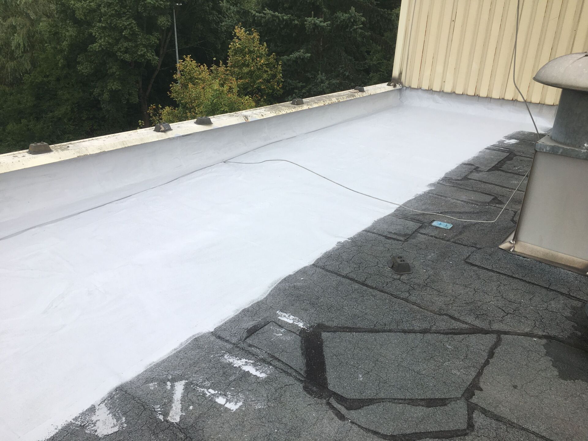 Attika Flachdachsanierung Flachdachabdichtung mit Flüssigkunststoff und Vlies Verarbeitung