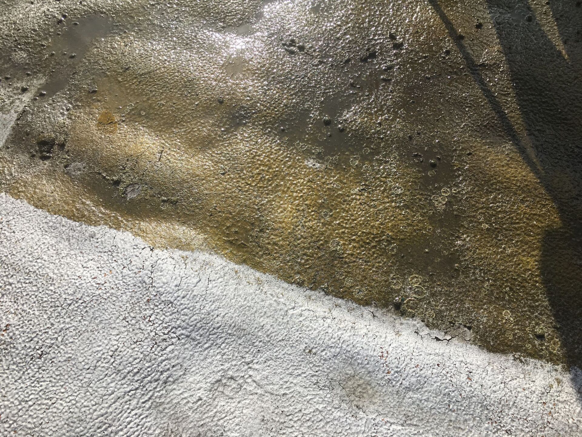 Altschaumdachsanierung mit Flüssigkunststoff und Vlies UV Schutz