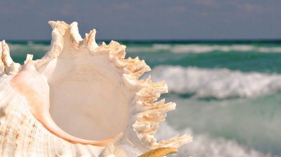 Acouphènes Avignon Sophrologie Marilyne Théry Sophrologue