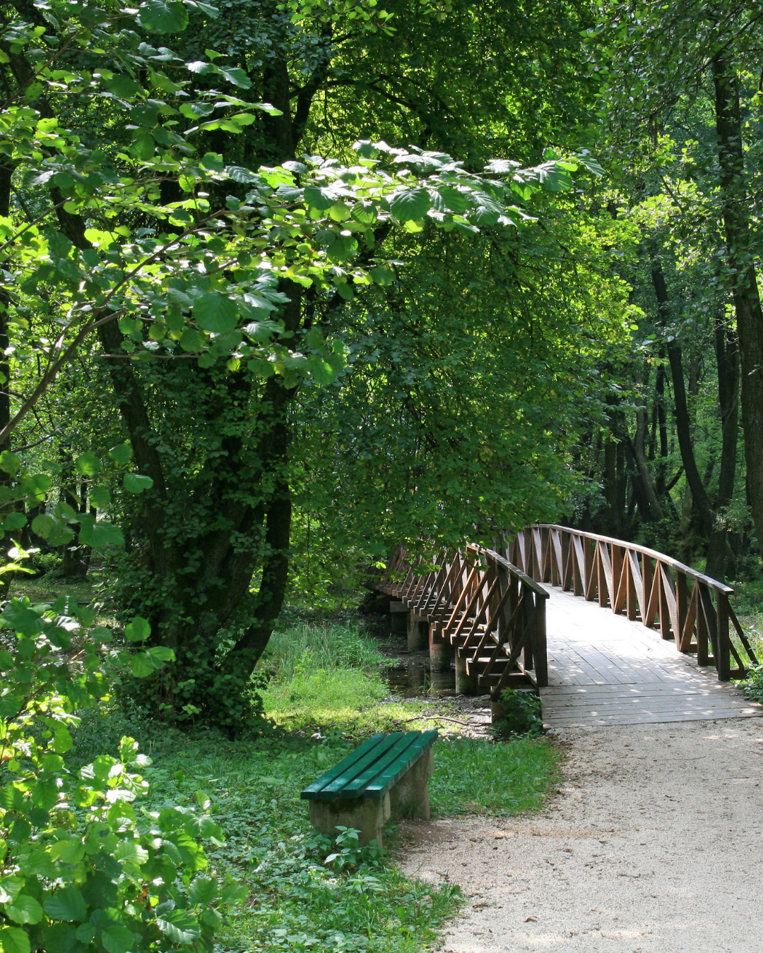 Le coaching vu par Marilyne Thery Thérapie relationnelle Coching Avignon