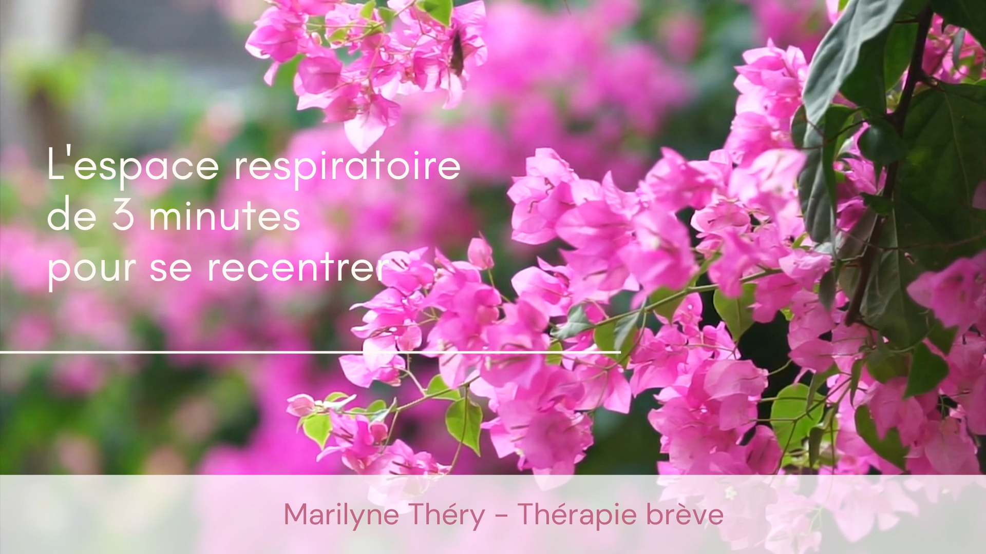Méditation guidée 3 minutes par Marilyne Théry Sophrologue à Avignon