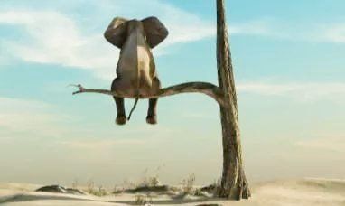 Confinement Equilibre intérieur Marilyne Théry Harmonie-relationnelle.com