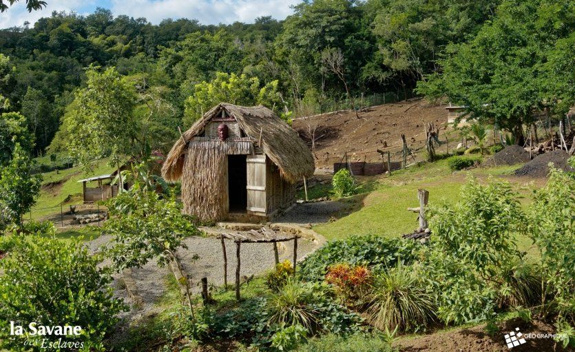 La savane des esclaves